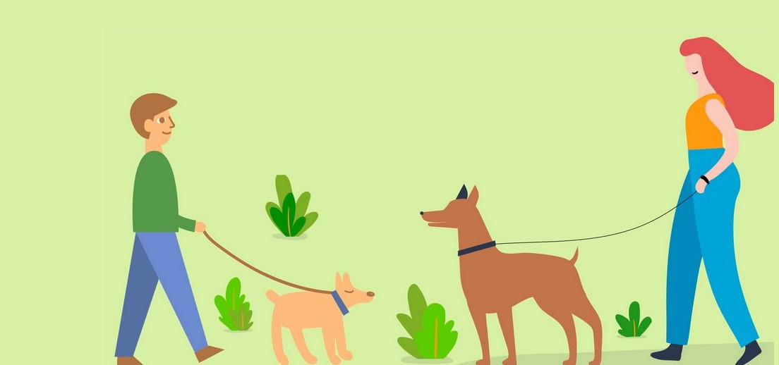 Csoportos kutyasétára várja az állatbarátokat a HEROSZ Állatotthon