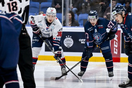 A Hydro Fehérvár AV 19 nyerte a városi derbit és bejutott a Magyar Kupa döntőjébe