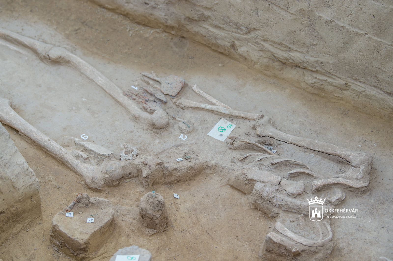 Az avar kori Mezőföld – február 3-án mutatják be Szücsi Frigyes könyvét