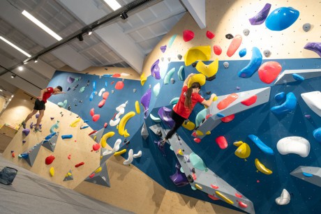 Fehérváron edzenek az ország legkeményebb versenymászói – bárki megnézheti őket