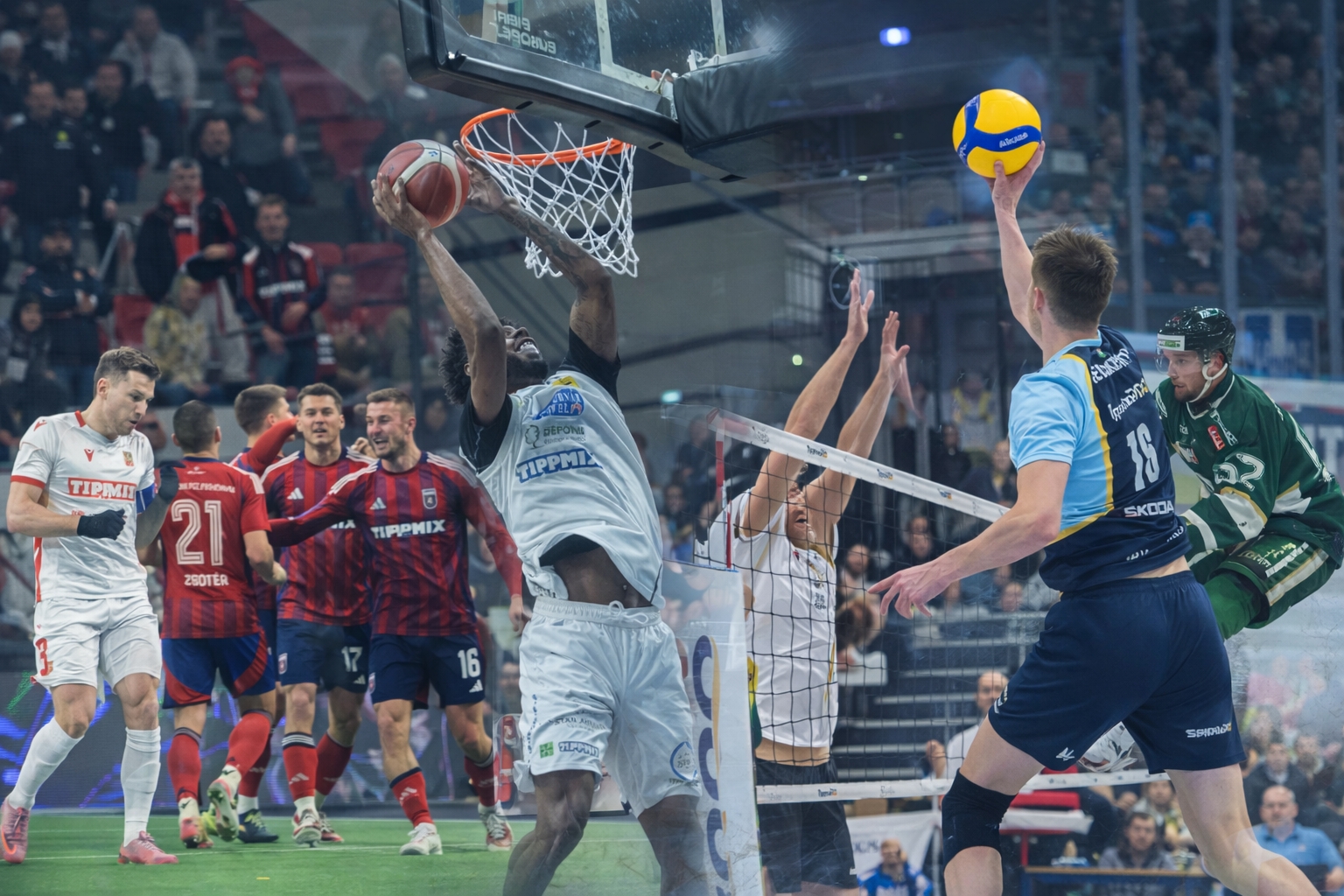 Ezen a héten is bőséges sportkínálat várja a fehérvári szurkolókat