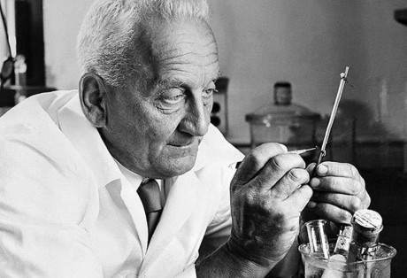 Hatvannál is több fehérvári orvos a Szent-Györgyi Albert Díjra jelöltek között