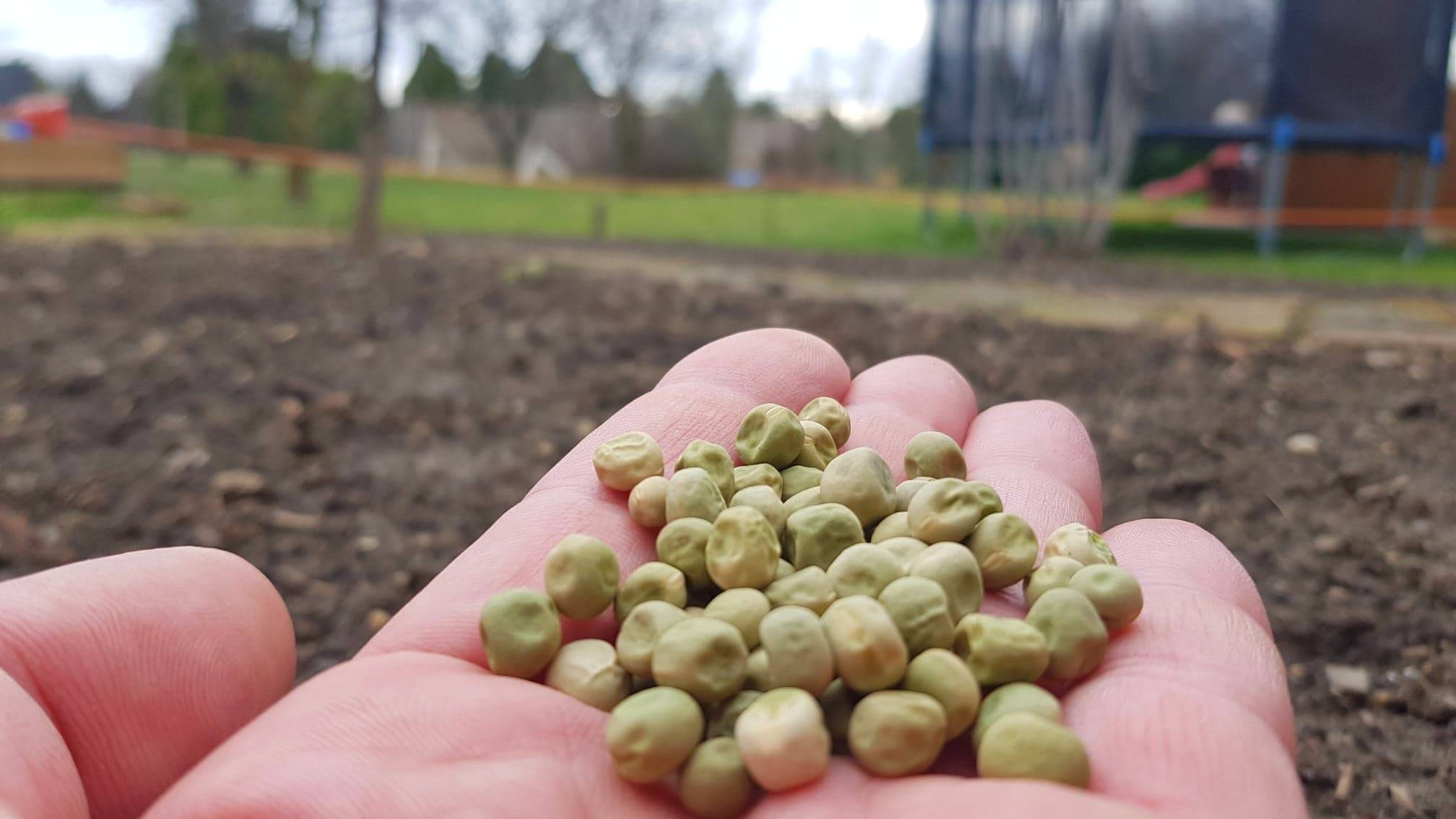 Menyhárt Otília „virágvarázsló” tart előadást a Gárdonyi Géza Művelődési Házban