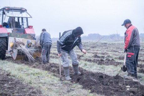 Egy hektárnyi erdővel, 6500 facsemetével bővülhet a Sóstó Természetvédelmi Terület