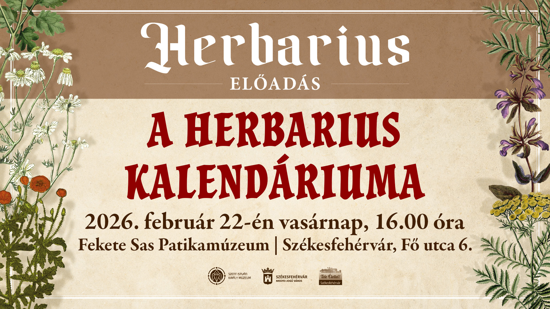 Herbarius kalendárium – Lencsés Rita előadása a gyógynövénygyűjtés és a túrák ütemezéséről