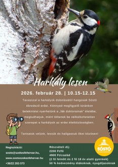Harkálylesre indulhatunk február utolsó napján a Sóstón