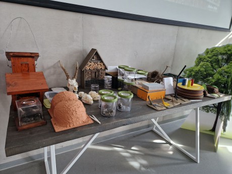 Pedagógus nyílt nap lesz a Sóstó Látogatóközpontban csütörtökön, keddig lehet regisztrálni!