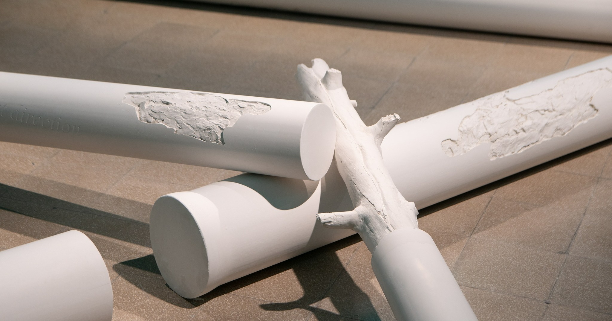 Nem látott fát – tárlatvezetéssel zárul szombaton Mézes Tünde kiállítása