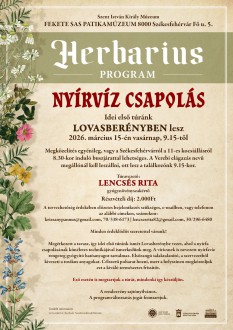 Vasárnap indul a Herbarius gyógynövénygyűjtő túra nyírfacsapolással