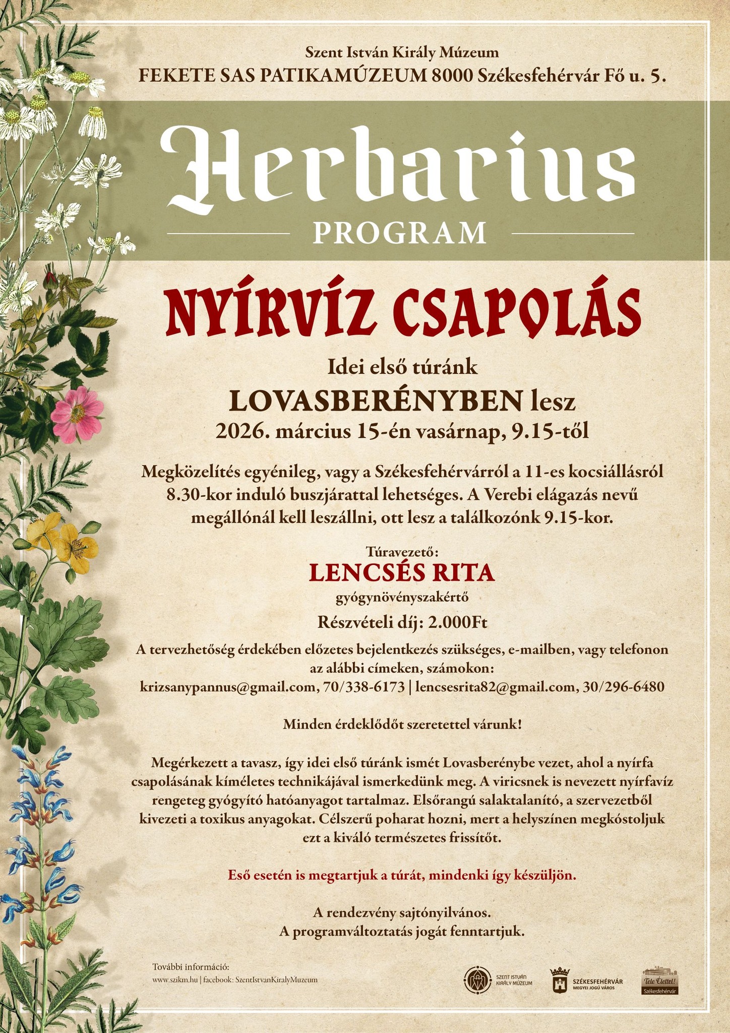 Vasárnap indul a Herbarius gyógynövénygyűjtő túra nyírfacsapolással