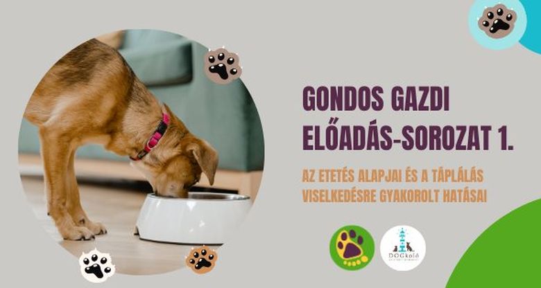 Gondos Gazdi előadássorozat indul a Feketehegy-Szárazréti Közösségi Házban