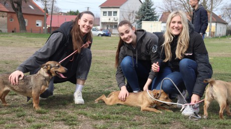 Finomságokat és meccsjegyeket vittek az ASKA-hoz a fehérvári kosaras lányok