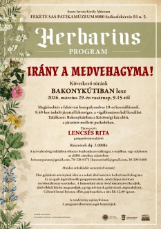 Irány a medvehagyma! – vasárnapi gyógynövénygyűjtő túra Bakonykútiban