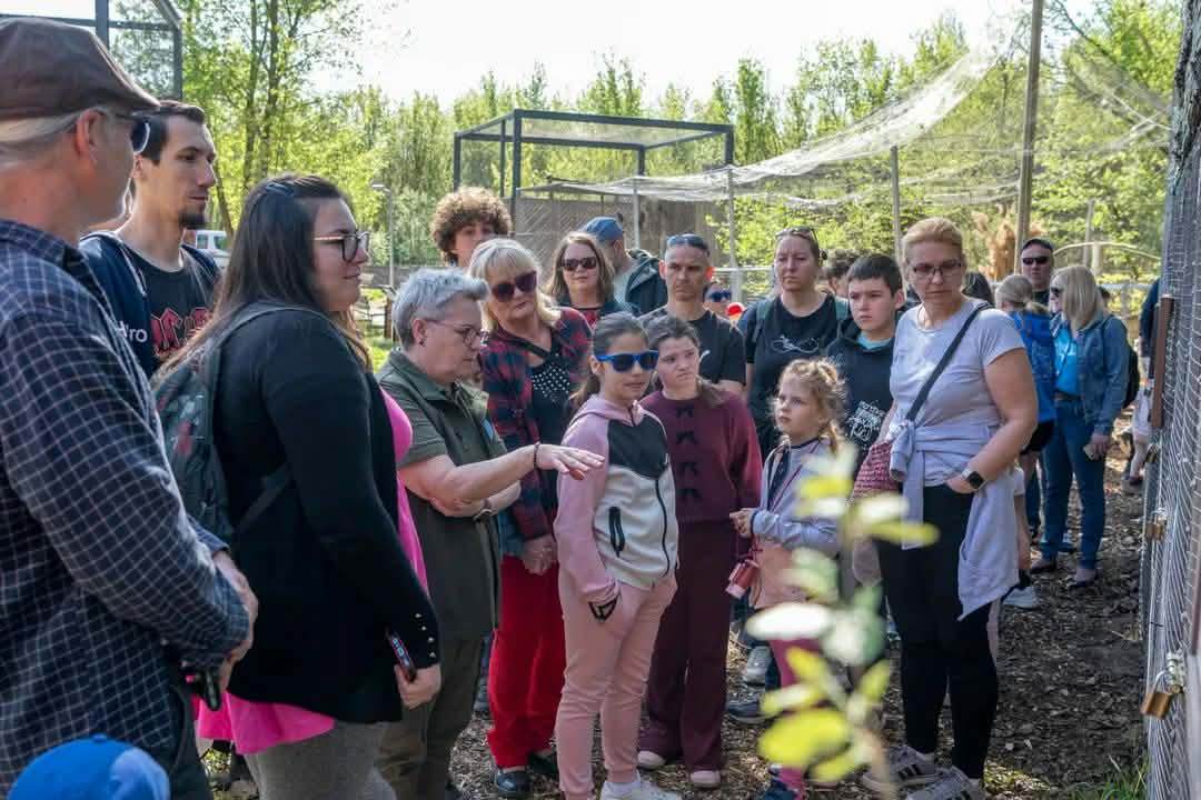 A Lurkók is részt vettek a Vadvédelmi Központ hétvégi születésnapi programján