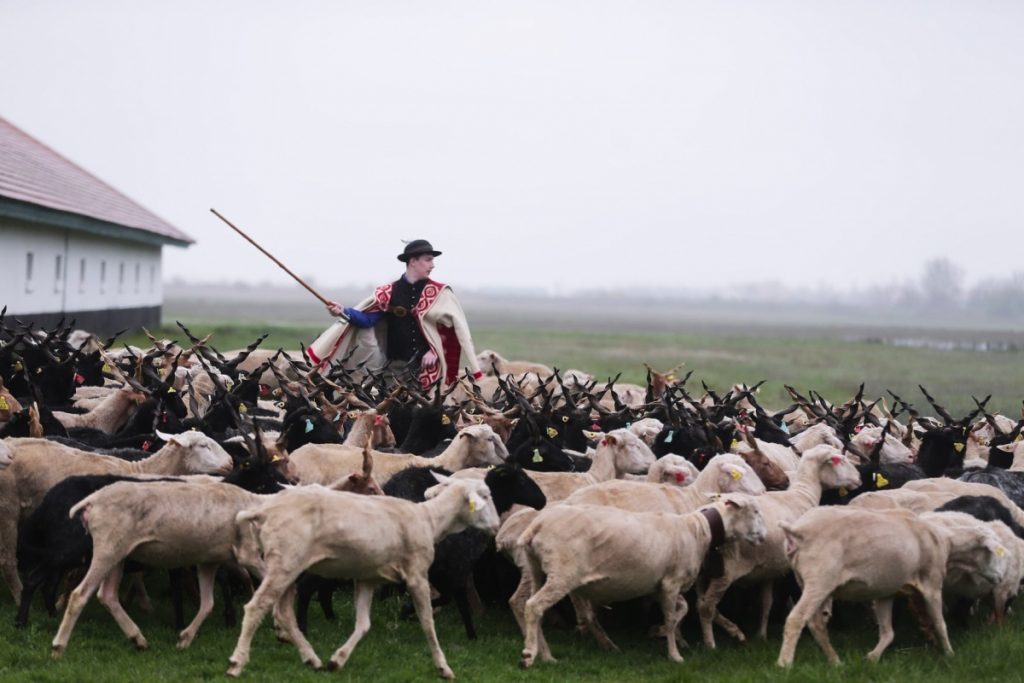 Szent György-napi mulatságot rendeznek a Szent István Művelődési Házban