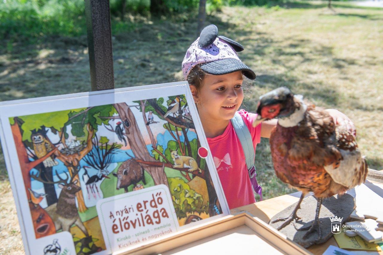 Újra megrendezik az Öko Majálist a Sóstón, Gryllus Vilmos is fellép