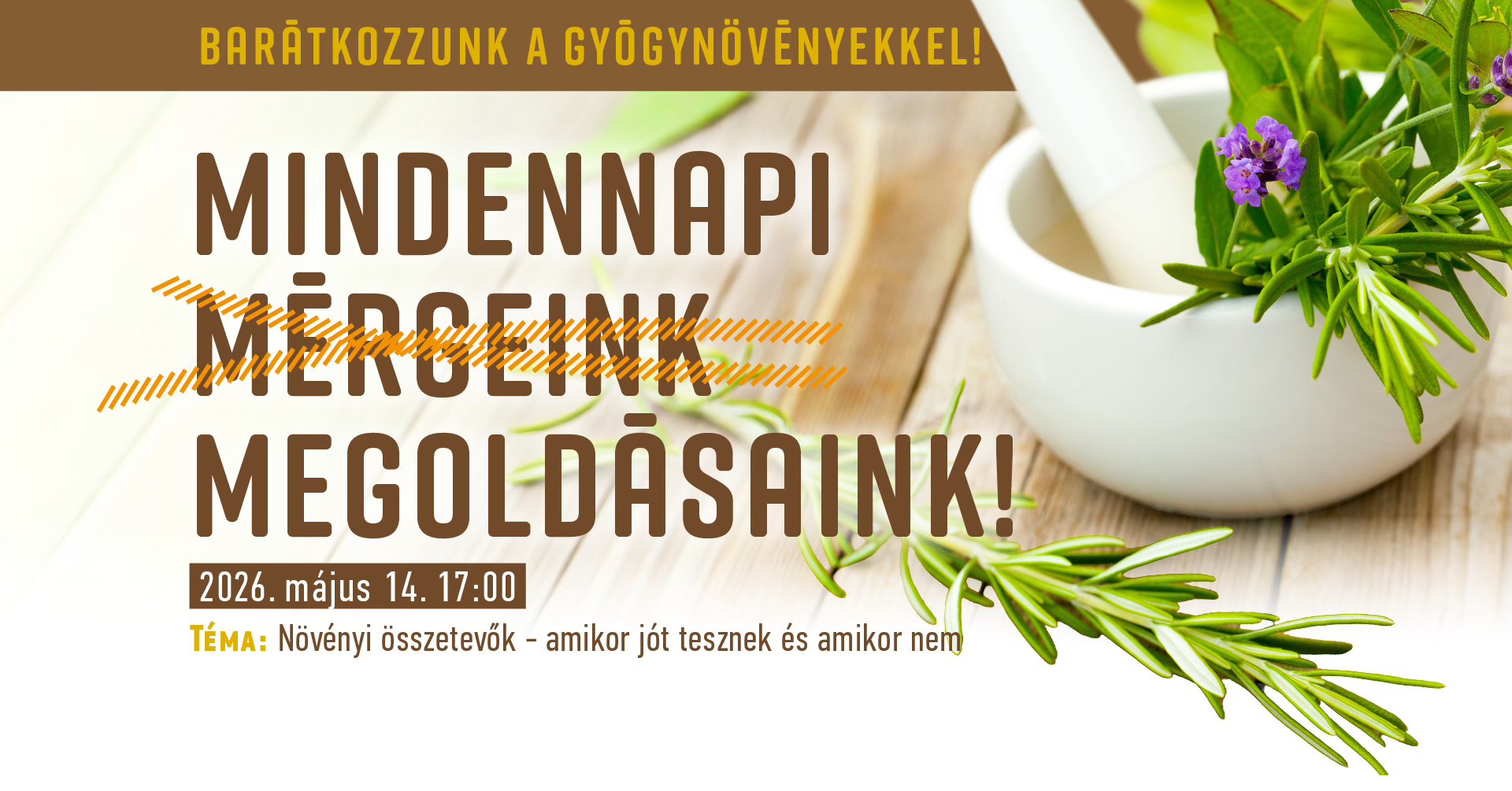 Az évad utolsó gyógynövényes workshopja csütörtökön