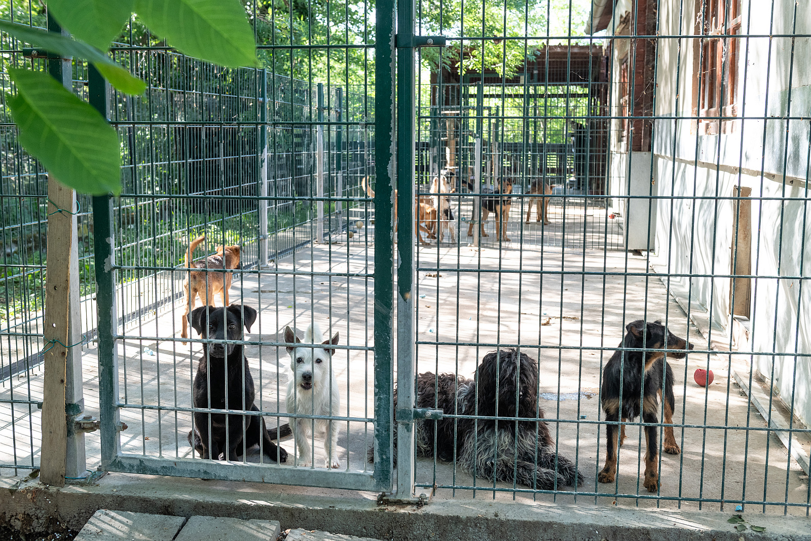 Adomány a hétköznapokban is - szombaton és vasárnap is gyűjtenek az Intersparban