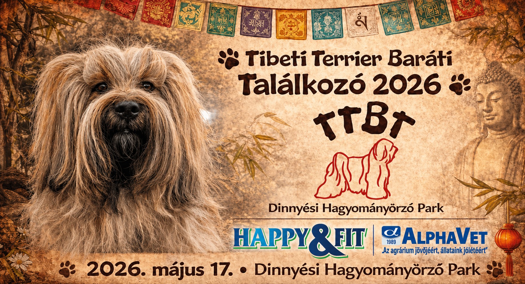 Tibeti terrier baráti találkozót tartanak vasárnap a Dinnyési Hagyományőrző Parkban