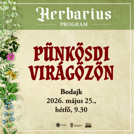 Pünkösdi virágözön – gyógynövénygyűjtő Herbarius-túra Bodajkon