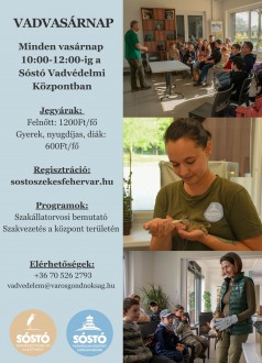 Júniusban is minden hétvégén Vadvasárnap a Sóstó Vadvédelmi Központban