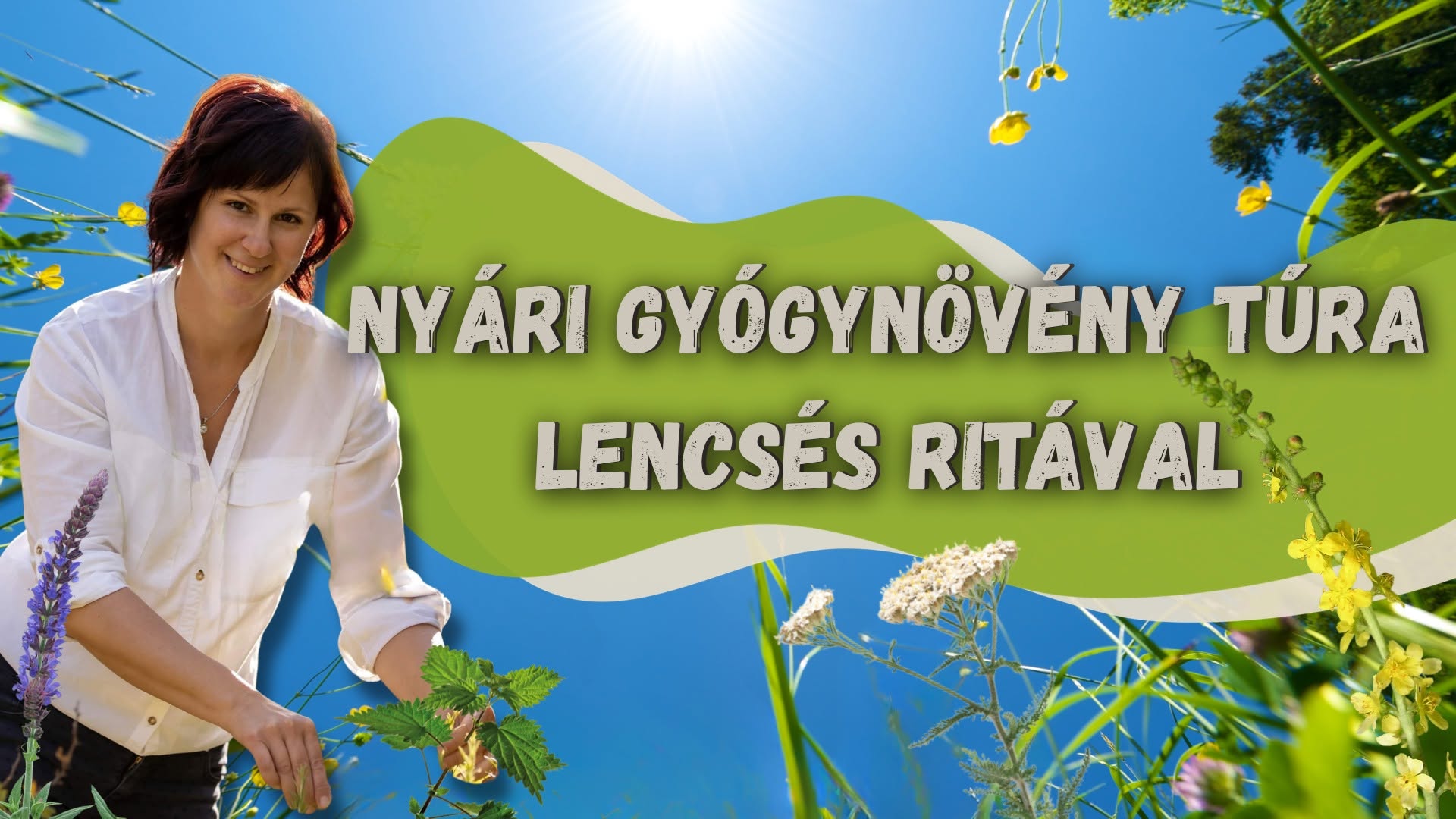 Gyógynövénygyűjtő túra június 20-án Lencsés Ritával a Pákozdi Pagonyban