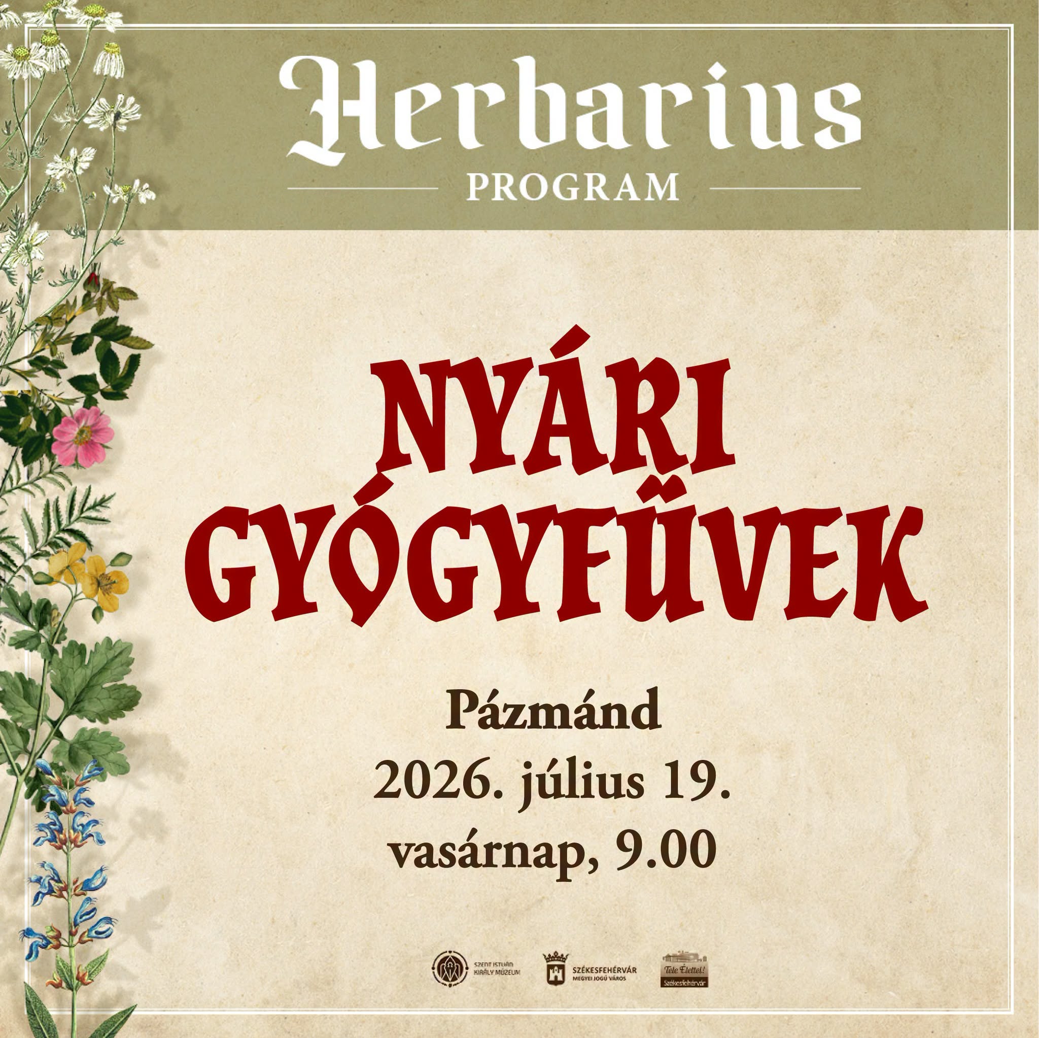 Pázmánd környékén gyűjthetünk gyógyfüveket július 19-én