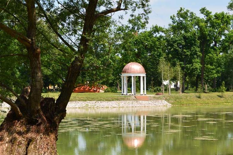 Júliusban és augusztusban is folytatódnak a botanikai séták a Károlyi Kastély parkjában