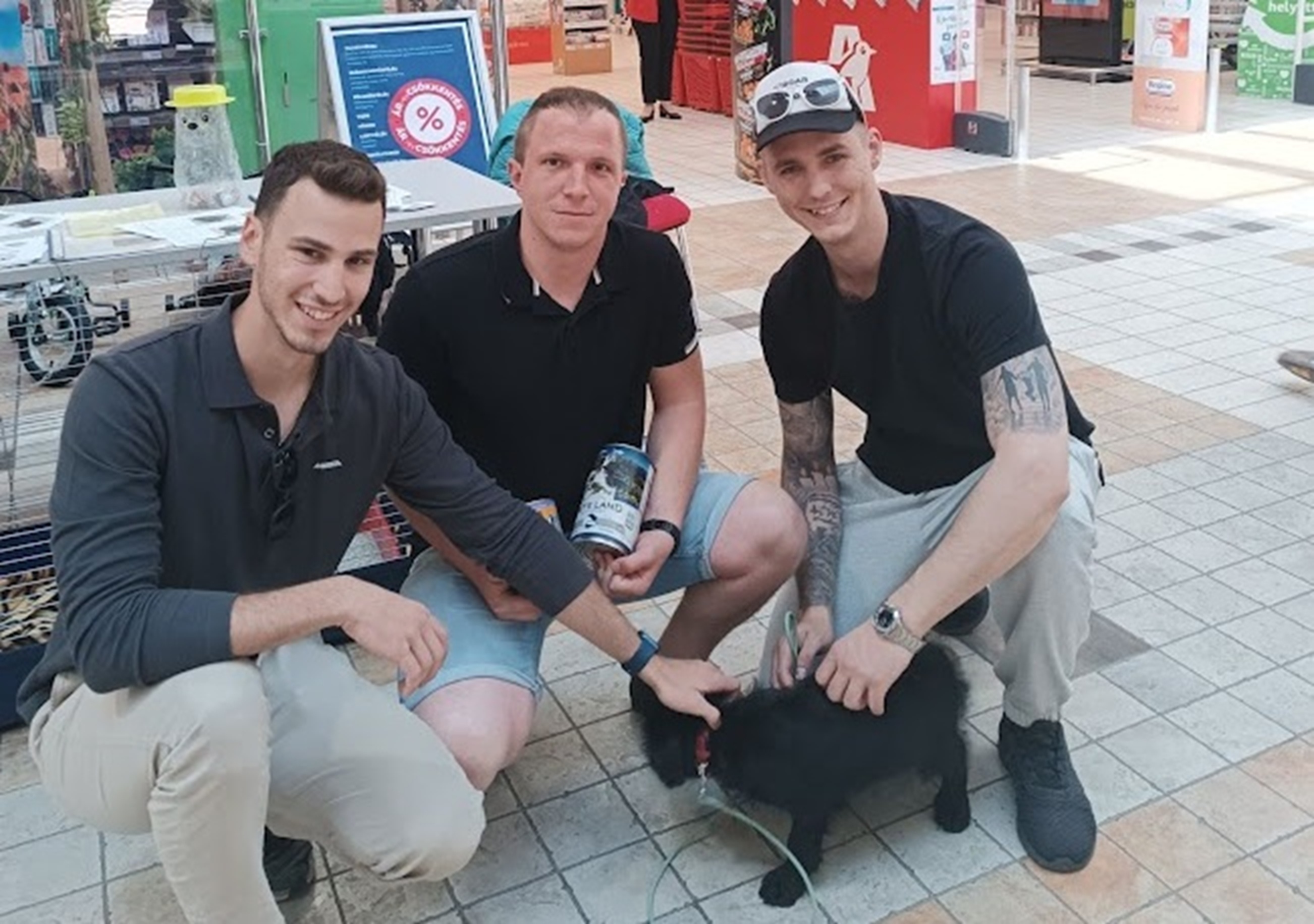 Kétnapos adománygyűjtést szervez a HEROSZ Állatotthon hétvégén az Auchanban