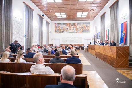 Új támogatási forma, zöldterületté nyilvánítás, Fehérvár FC - Közgyűlési összefoglaló