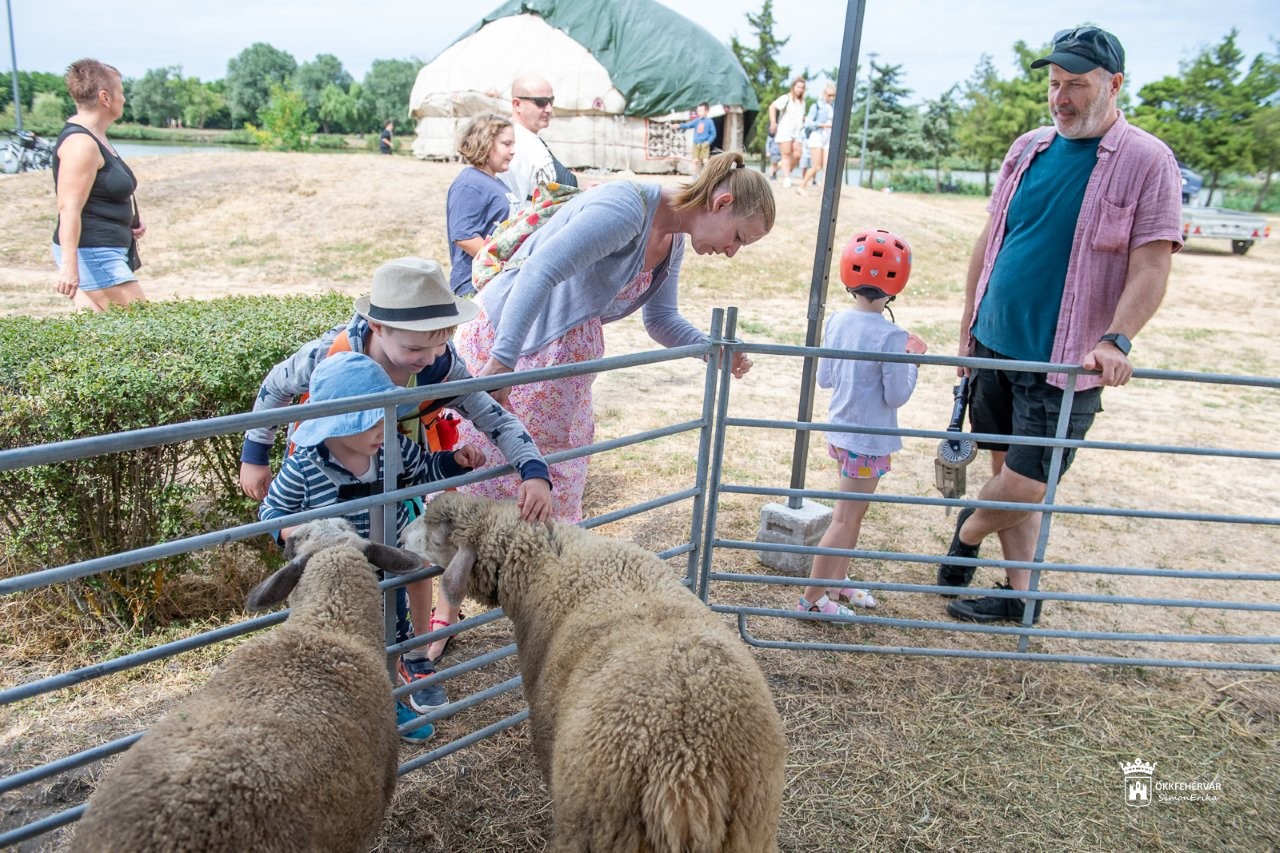 Jurták, íjak, régi mesterségek - városrészi piknik és időutazás a Palotavárosi tavaknál