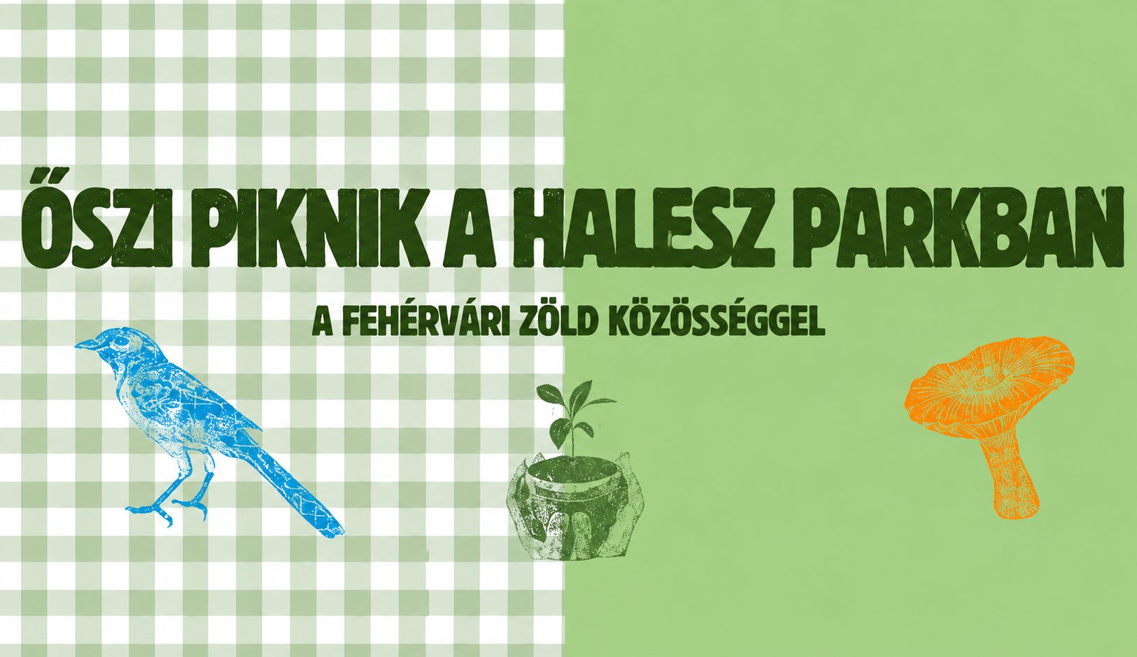 Őszi pikniket szervez hétfőn a Fehérvári Zöld Közösség a Halesz ligetben