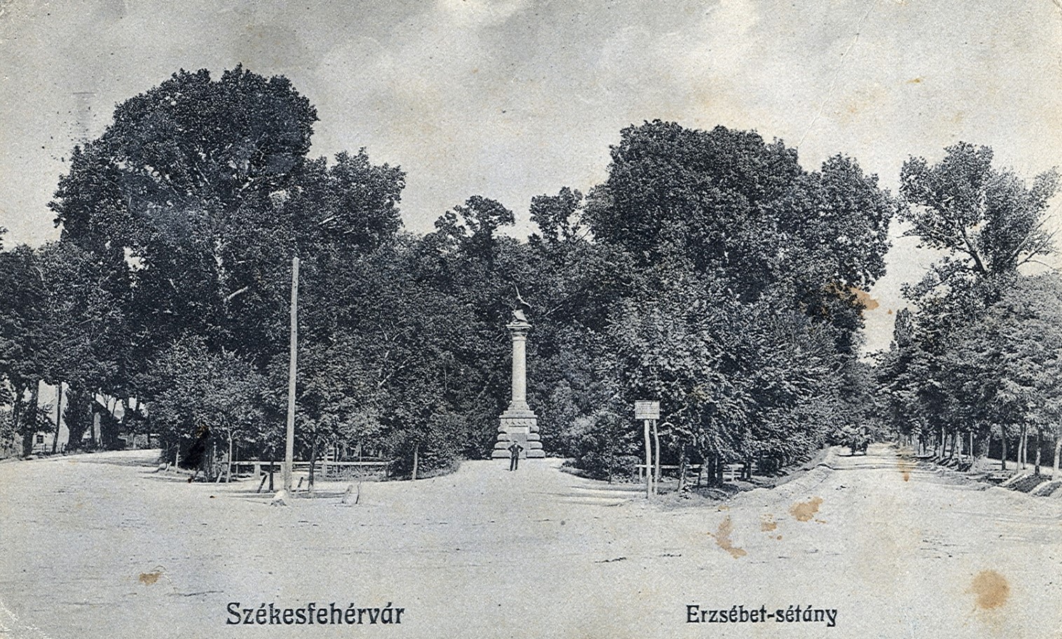 Levelek, ligetek, legendák – most különleges kvízzel barangolhatjuk be városunk zöld kincseit