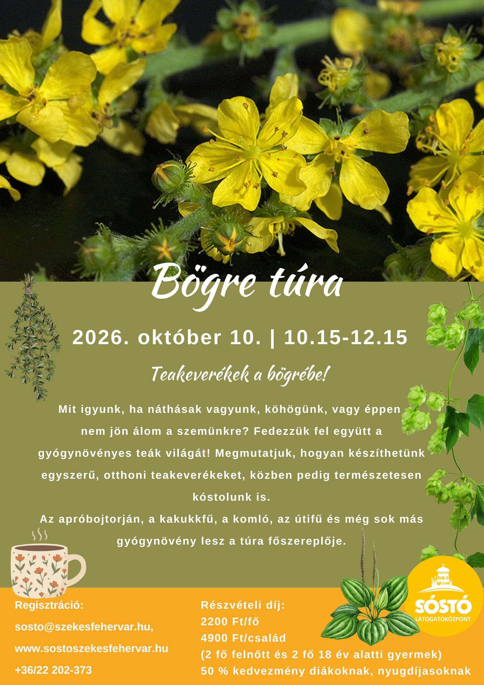 Nátha, köhögés, álmatlanság – tippeket kaphatunk a Sóstó következő Bögre túráján