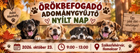 Örökbefogadó és adománygyűjtő nyílt nap lesz az ASKA menhelyen október 23-án