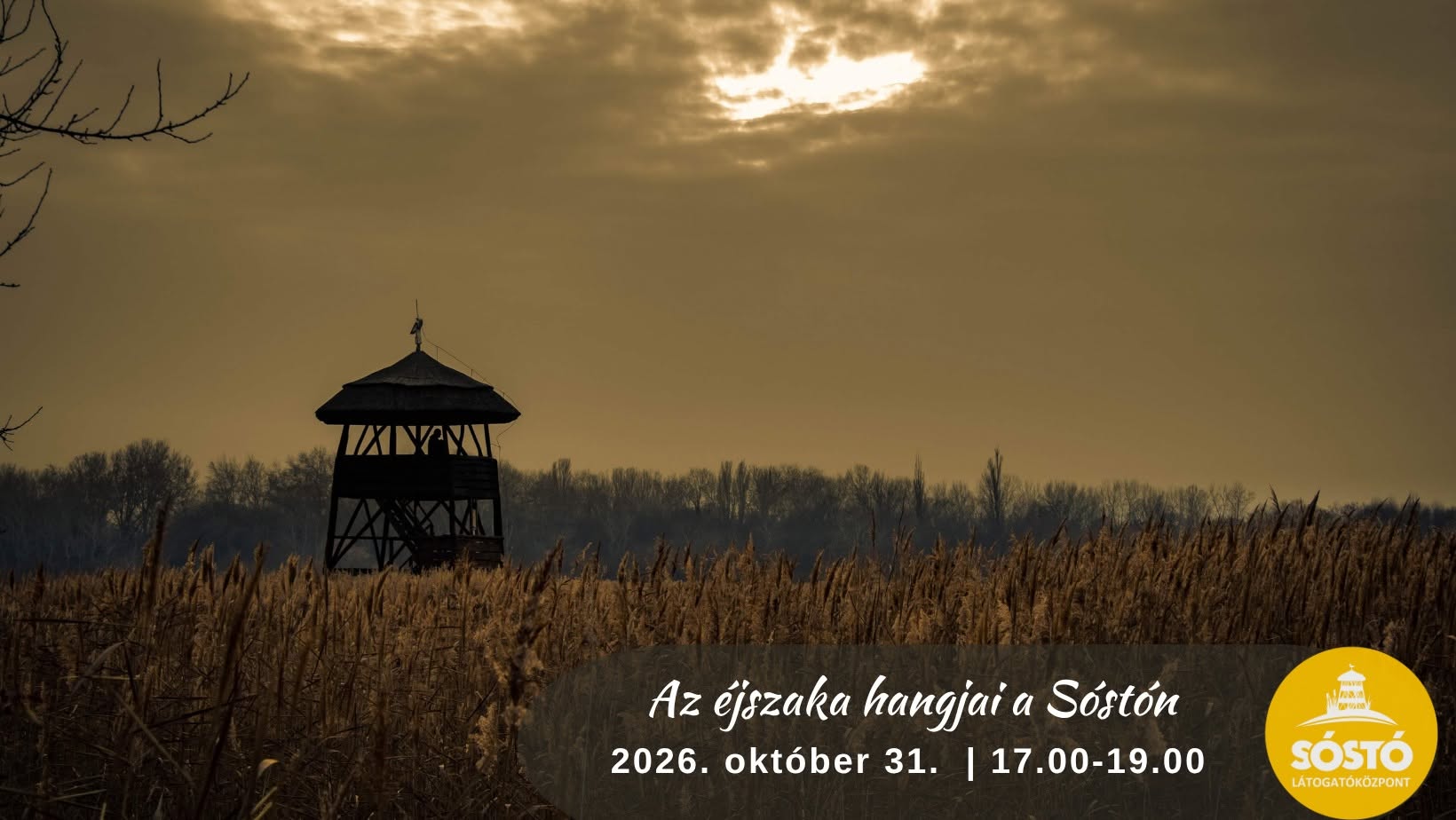 Az éjszaka hangjai a Sóstón – különleges esti túra október 31-én