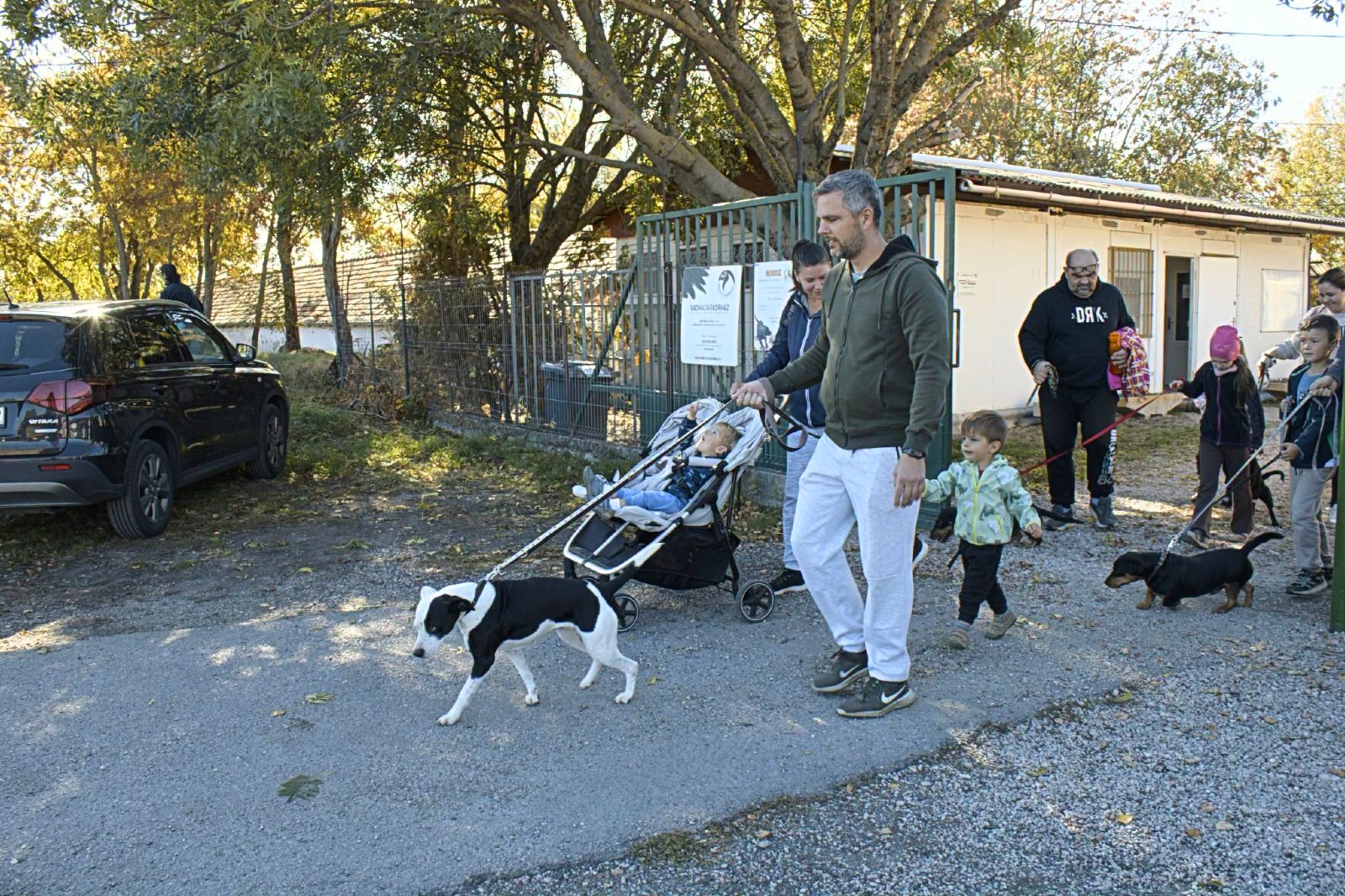 Halloweeni csoportos kutyasétát szervez szombaton a HEROSZ Állatotthon